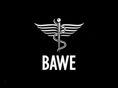 British Association of Women Entrepreneurs (BAWE)