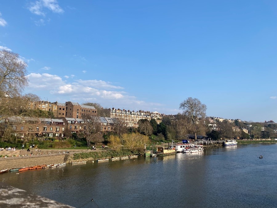 Figure 29 View of the Richmond bank from Richmond Bridge