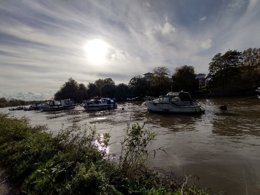 Figure 21 View of the Thames from the Richmond bank