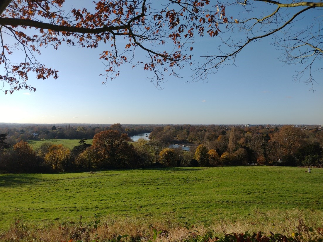 Figure 3 View of the Thames from Richmond Hill