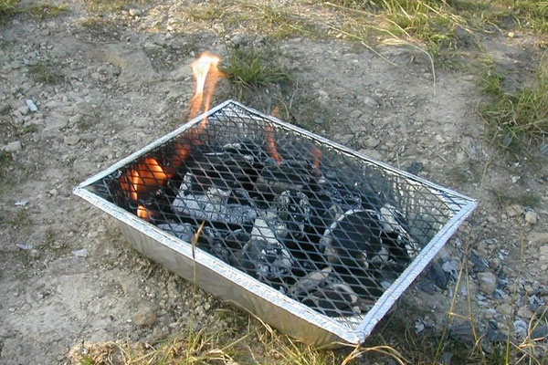 Plea to avoid BBQs in our parks