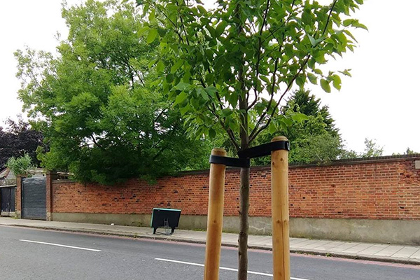 Residents asked to think of young trees during the hot weather
