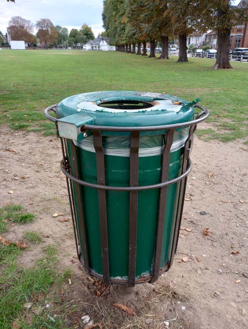 Figure 74: Example of a bin on The Green