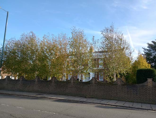 Figure 79: View of 100 High Street behind wall and trees
