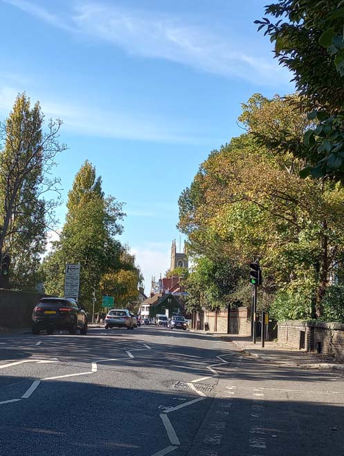 Figure 82: View of St Mary's Church tower from Hampton Court Road