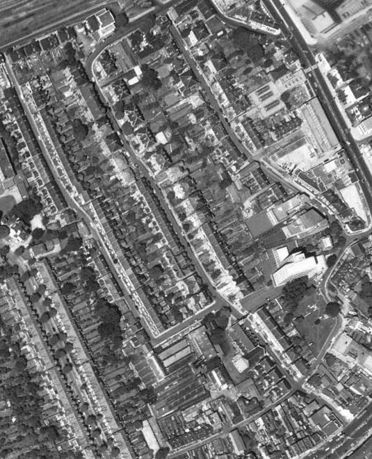 Fig. 5: Aerial View of the Conservation Area, 1966