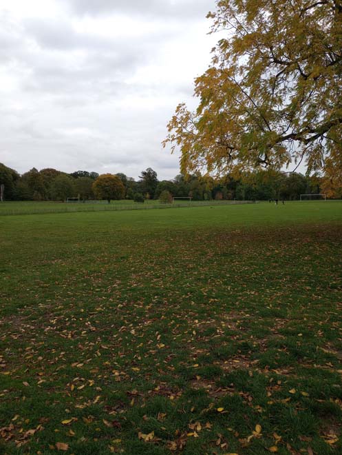 Fig. 17: The open grounds of Marble Hill serve a variety of community uses