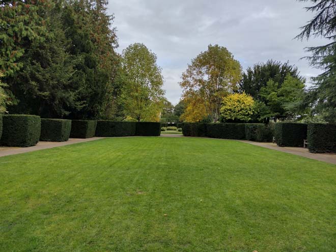 Fig. 119: Part of the south gardens