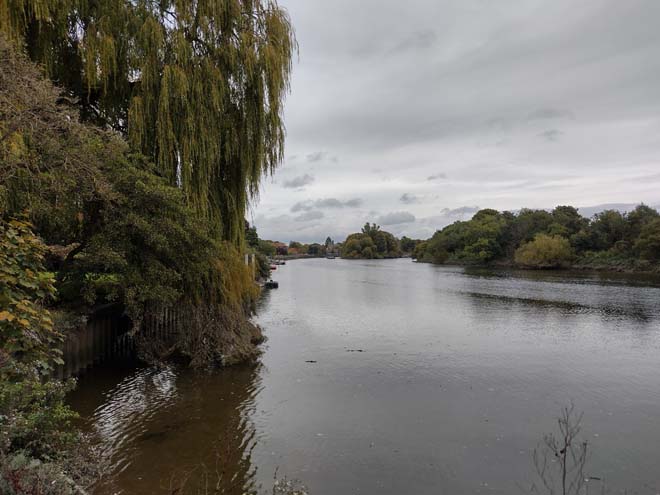 Fig. 193: View north along the Thames toward Eel Pie Island