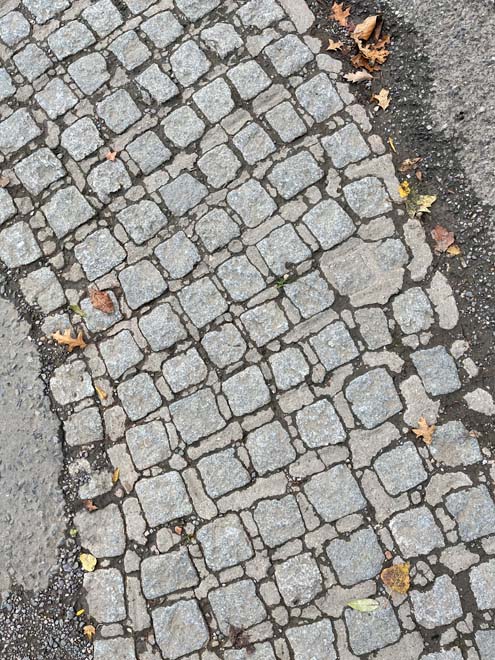 Fig. 127: Historic setts to the embankment at the end of Church Lane are indicative of previous landscaping treatments around the slipway