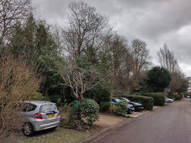 Fig. 48: The east side of Montpelier Row is largely undeveloped but many car parking spaces have been inserted