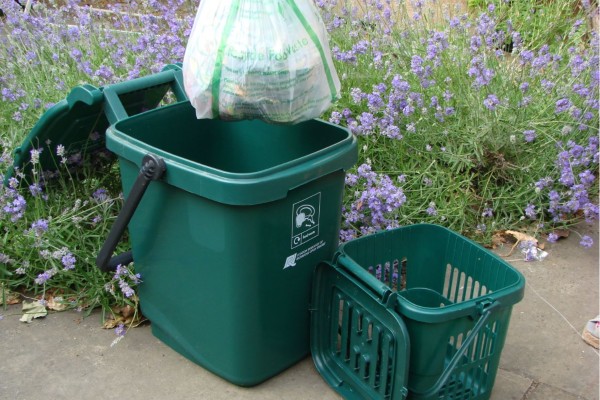 Free food waste caddy liners now available at local libraries