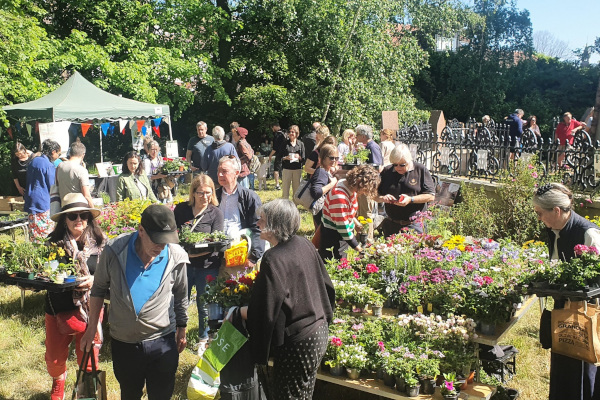 Celebrate spring with plant sale and family fun