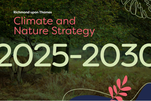 Bold five-year roadmap for Richmond Council to build on climate action