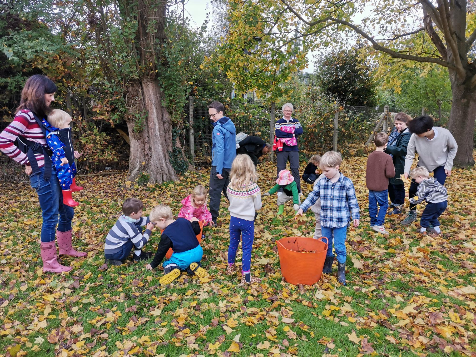 Half term activities at Barnes Common Ltd