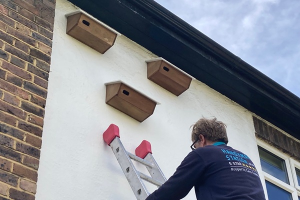 Civic Pride Fund empowers community effort to save Barnes’ swifts