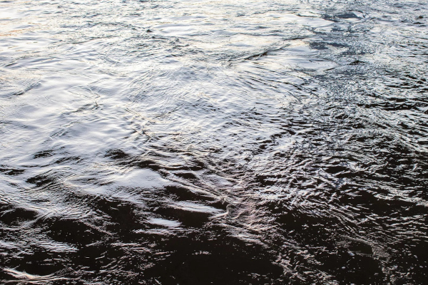 Reflect on water and help shape an upcoming art exhibition