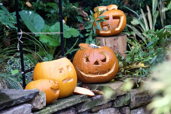 Fright night done right: safe, fun, and waste-free!