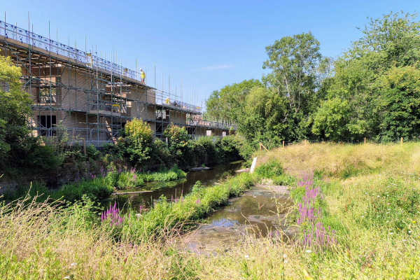 Naturalising the River Crane in Twickenham: a community celebration