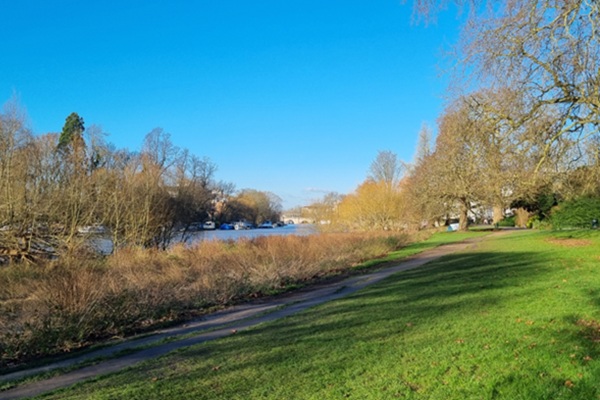 New wetlands for a greener borough