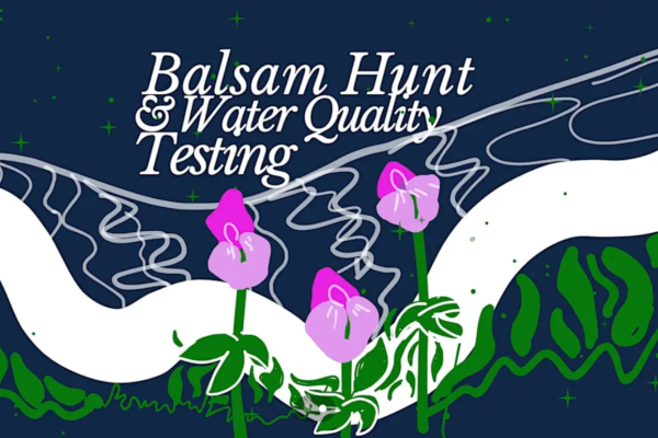Balsam hunt and water quality testing
