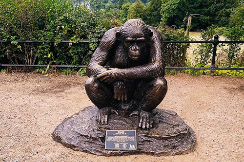 Spot chimpanzee statues in Richmond