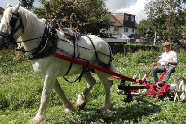 Local partners paving the way to restore our green spaces