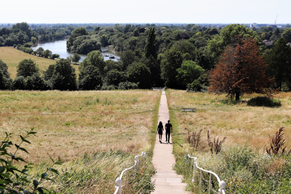 Help shape our new Climate and Nature Strategy