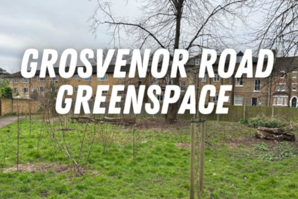Support community-led initiative to revitalise green space on Grosvenor Road